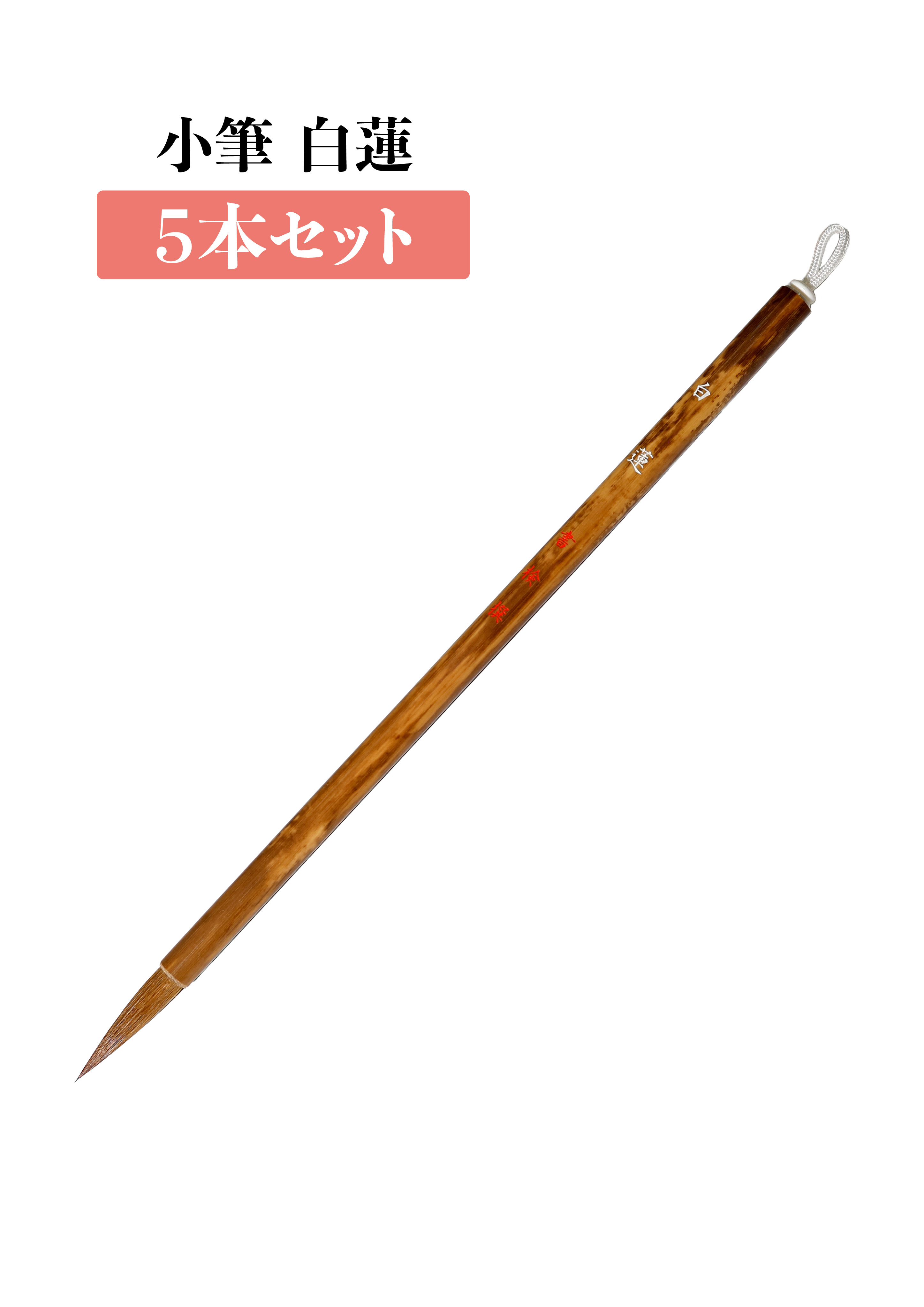 小筆 白蓮　５本セット